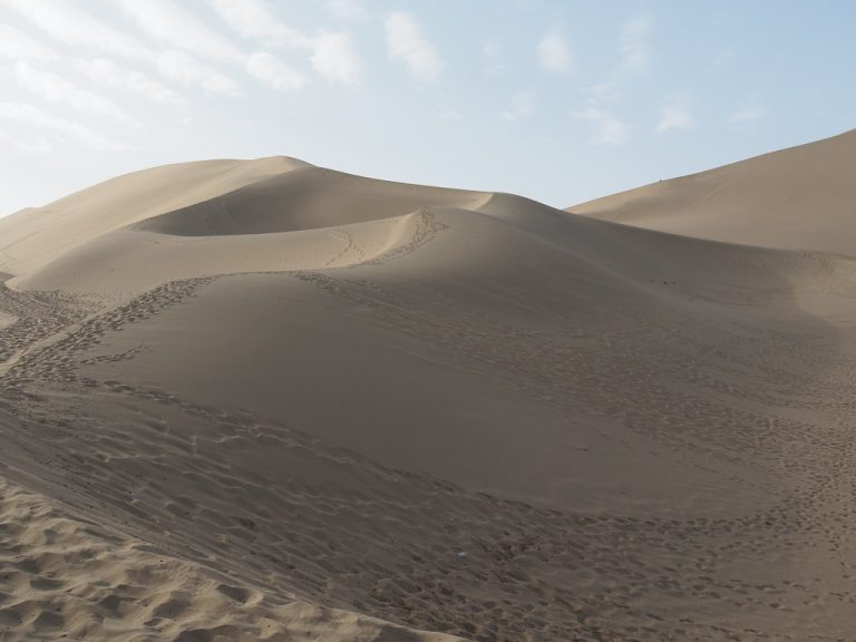 Le désert de Gobi, un désert incroyable qui mérite amplement la visite