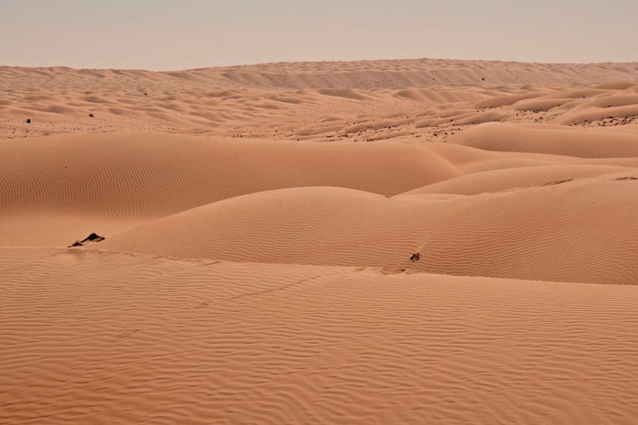 Une expérience de road trip dans le désert omanais