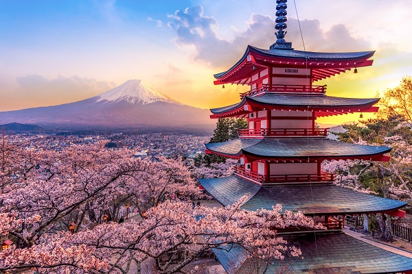 Séjour au Japon : guide pour réussir votre voyage